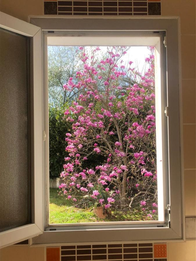 Hotel Ursula كامبو-لي-بان المظهر الخارجي الصورة